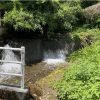 小川が近くせせらぎが聞こえます
