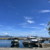 <span class="title">【募集】地域おこし協力隊員を募集しています。（柱島群島・柱島出張所勤務）※締切：令和７年６月13日（金）必着</span>