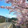 <span class="title">岩国市では、地域おこし協力隊員を募集しています（美和地域）※令和7年10月31日（金）必着</span>