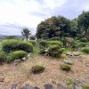 (外観) (外観)