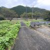 (外観) (外観)