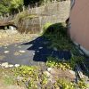 (外観) (外観)